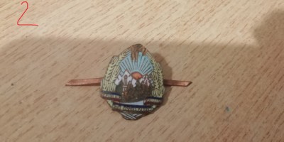 QW14 - Emblema militara - Comunism - Garzi patriotice - piesa de colectie foto