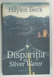 DISPARITIA din SILVER WATER de HAYLEN BECK , 2017