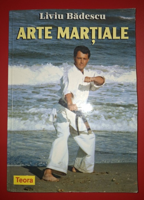 Liviu Badescu - Arte martiale