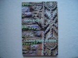 Lacrima iubirii de neam - Valeriu Buciu