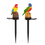 Cumpara ieftin Decor solar - papagal - 1 LED alb cald - 8 x 60 x 41 cm Best CarHome