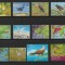 SOLOMON ISLANDS 2001 FAUNA PASARI