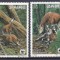 DB1 Fauna WWF Okapi Zair 1984 4 v. MNH