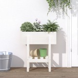 vidaXL Jardinieră de grădină, alb, 62x30x69 cm, lemn masiv de pin 825234