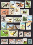 Fauna, Pasari, lot uzat, stampilat