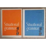 SITUATIONAL GRAMMAR PARTEA 1-2-M.I. DUBROVIN-216254