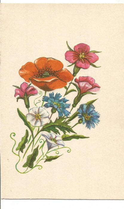 carte postala-FLORI-embosata