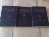 M.PRIVES \ N.LISENKOV \ V.BUSHKOVICH - ANATOMIA HUMANA in lb.spaniola vol.1.2.3.