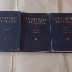 M.PRIVES \ N.LISENKOV \ V.BUSHKOVICH - ANATOMIA HUMANA in lb.spaniola vol.1.2.3.