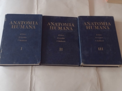 M.PRIVES \ N.LISENKOV \ V.BUSHKOVICH - ANATOMIA HUMANA in lb.spaniola vol.1.2.3. foto