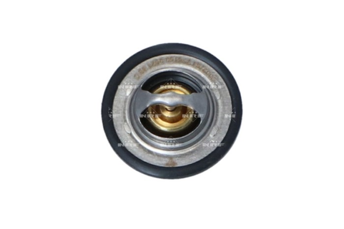 NRF 725150 EASY FIT termostat,lichid racire
