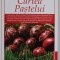CARTEA PASTELUI , culegere de texte ingrijita de RAZVAN CODRESCU , 2023