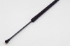 Amortizor haion dreapta VW GOLF VII 5G1, BQ1, BE1, BE2 2016 OEM: 5G6827550C 11783958