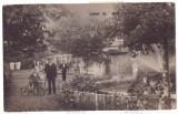 3820 - TIMISOARA, Summer Garden, Bike - old postcard, real Photo - used - 1928, Circulata, Printata