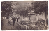 3820 - TIMISOARA, Summer Garden, Bike - old postcard, real Photo - used - 1928