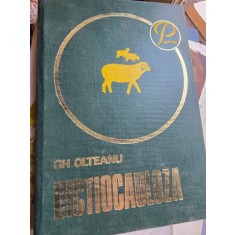 Dictiocauloza - Gh. Olteanu