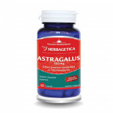 Astragalus 500mg, 60cps, Herbagetica