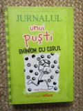 JURNALUL UNUI PUSTI GHINION CU CARUL - JEFF KINNEY