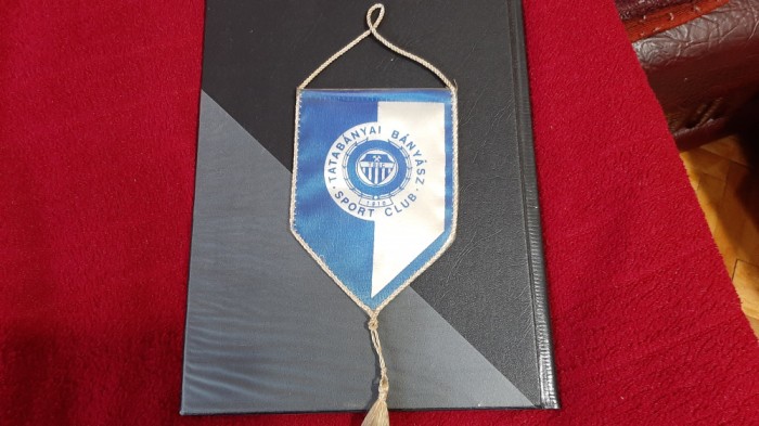 Fanion Tatabanyai SC