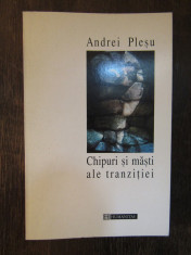 ANDREI PLESU - CHIPURI SI MASTI ALE TRANZITIEI foto