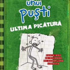 Ultima picătură. Jurnalul unui puşti (Vol. 3) - HC - Hardcover - Jeff Kinney - Arthur