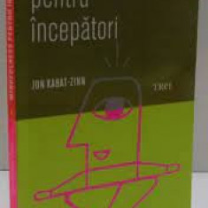 Mindfulness pentru incepatori - Jon Kabat Zinn