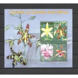 ZAMBIA 2005 FLORI ORHIDEE