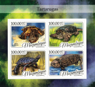 MOZAMBIC 2016 -Fauna, Testoase /set complet colita + bloc MNH foto