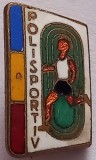 Insigna Polisportiv