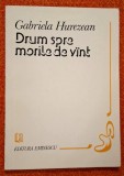 Drum spre morile de vint/vant - Gabriela Hurezean