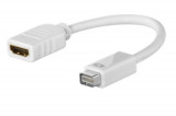 Adaptor mini DVI tata la HDMI Mama, Active, FHD, 10cm, compatibil Apple iMac Macbook Pro