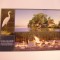 QW24 D - Carte postala - tematica turism - vedere - Delta Dunarii 9