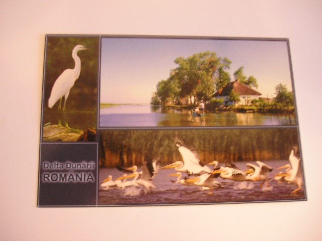 QW24 D - Carte postala - tematica turism - vedere - Delta Dunarii 9