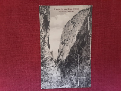 O parte a lacului ( rosu ) Gyilkos - carte postala interbelica necirculata foto