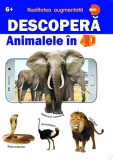 Descopera animalele in 4D - Autor Anonim - Editura Prestige