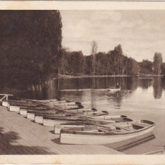 Craiova Parcul Bibescu Lacul ND(1920)