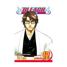 Bleach, Volume 12