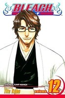 Bleach, Volume 12 foto