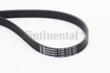 CONTINENTAL CTAM 6PK1715 Curea transmisie cu caneluri