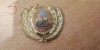 QW14 - Emblema militara / cuc - uscat - comunism - piesa de colectie