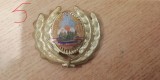 QW14 - Emblema militara / cuc - uscat - comunism - piesa de colectie