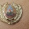 QW14 - Emblema militara / cuc - uscat - comunism - piesa de colectie