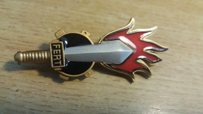 QW9 N 19 - insigna - militar - sabie pe flacara - FERT