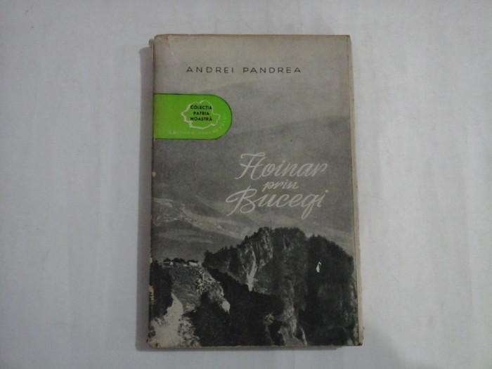 HOINAR PRIN BUCEGI - ANDREI PANDREA