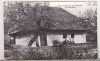 Bnk cp Humulesti - Casa memoriala Ion Creanga - circulata, Printata, Neamt