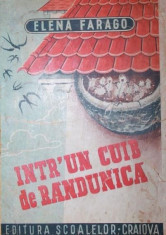 INTR UN CUIB DE RANDUNICA foto