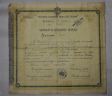 Certificat de Absolvirea Liceului Hasdeu Buzau 1916