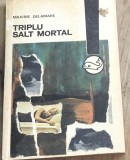 LITR02 XLA Maxim Delamare - Triplu salt mortal