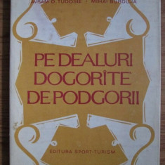 Avram D. Tudosie - Pe dealuri dogorîte de podgorii