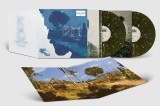 Room Under The Stairs - Forest Green Vinyl (33 RPM) | ZAYN